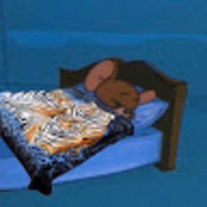 Meet your Posher, Nik